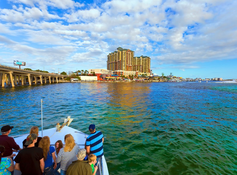 crab island dolphin cruise